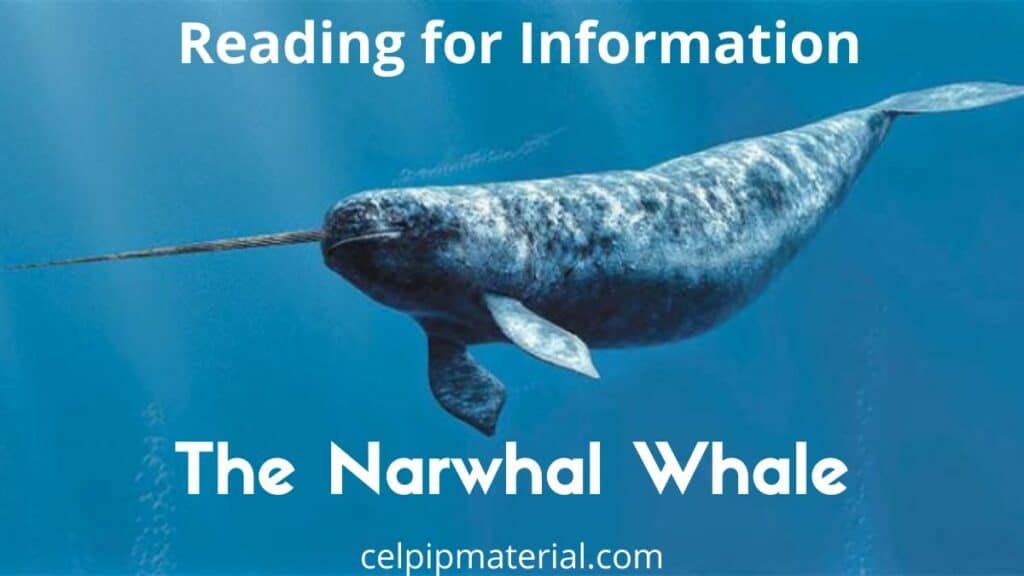 CELPIP Reading for Information Narwhal Whale