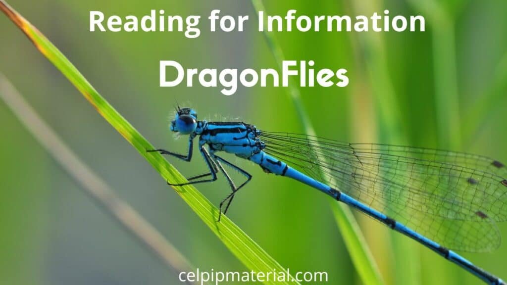 CELPIP Reading for Information Dragonflies