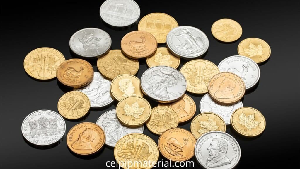 CELPIP Reading for Information Canadian One Dollar Coin Loonie