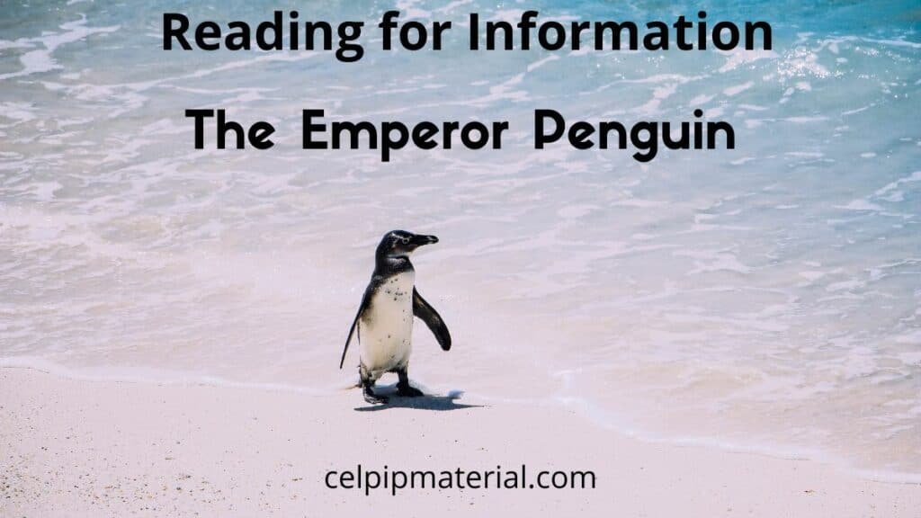 CELPIP Reading for Information The Emperor Penguin